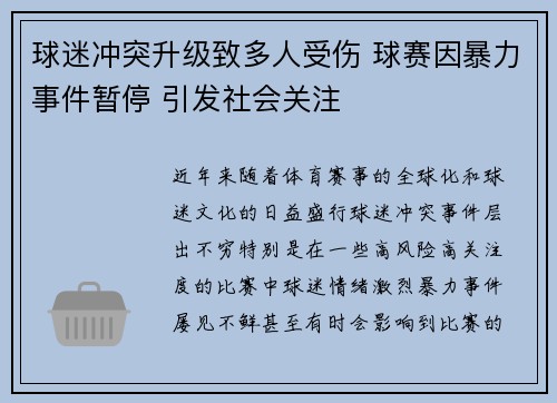 球迷冲突升级致多人受伤 球赛因暴力事件暂停 引发社会关注